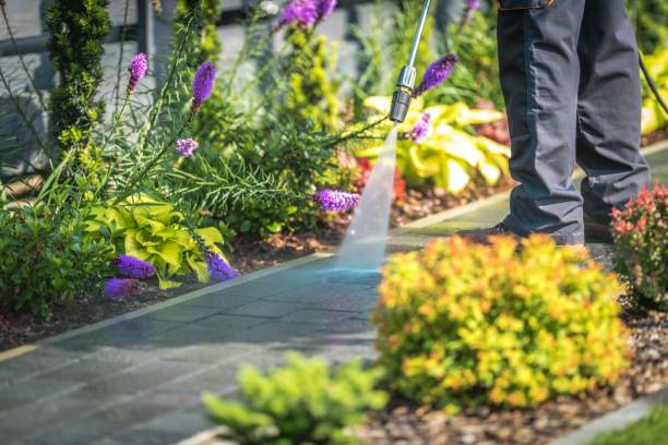 Best Residential Exterior Washing  in Beardstown, IL